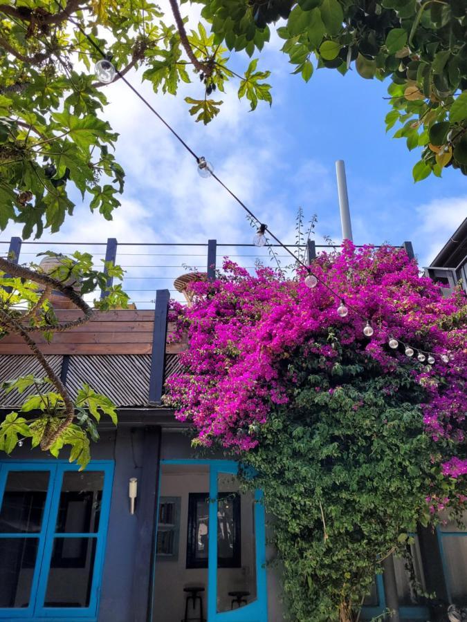 Centro Casa de hóspedes